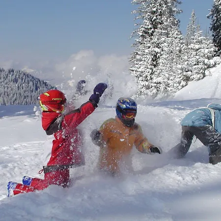 Jufa Eisenerzer Ramsau 3* إيسينيرزير