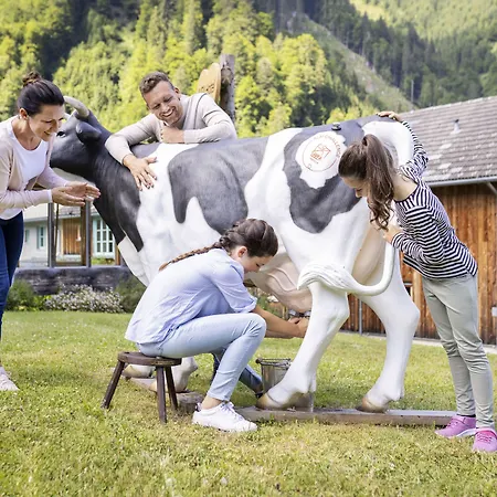 Hotel Jufa Eisenerzer Ramsau 3*