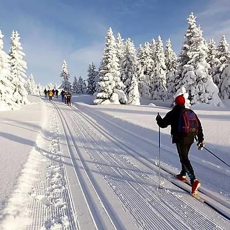 Jufa Eisenerzer Ramsau Hotel 3*