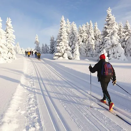 Jufa Eisenerzer Ramsau 3*